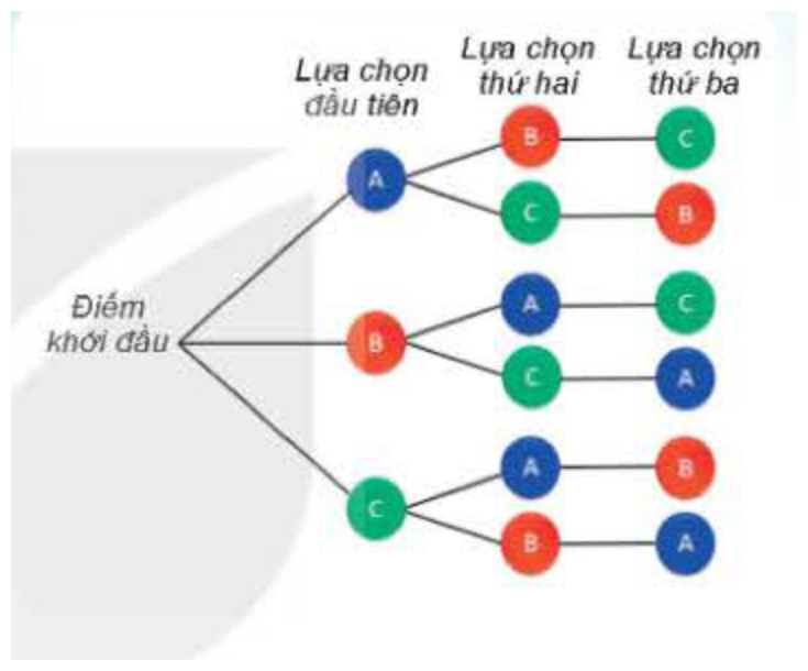 Sơ đồ cây lựa chọn Chương VIII