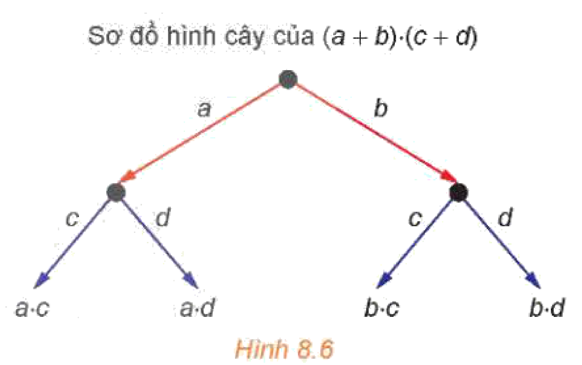 Hình 8.6: Sơ đồ hình cây của (a+b)(c+d)