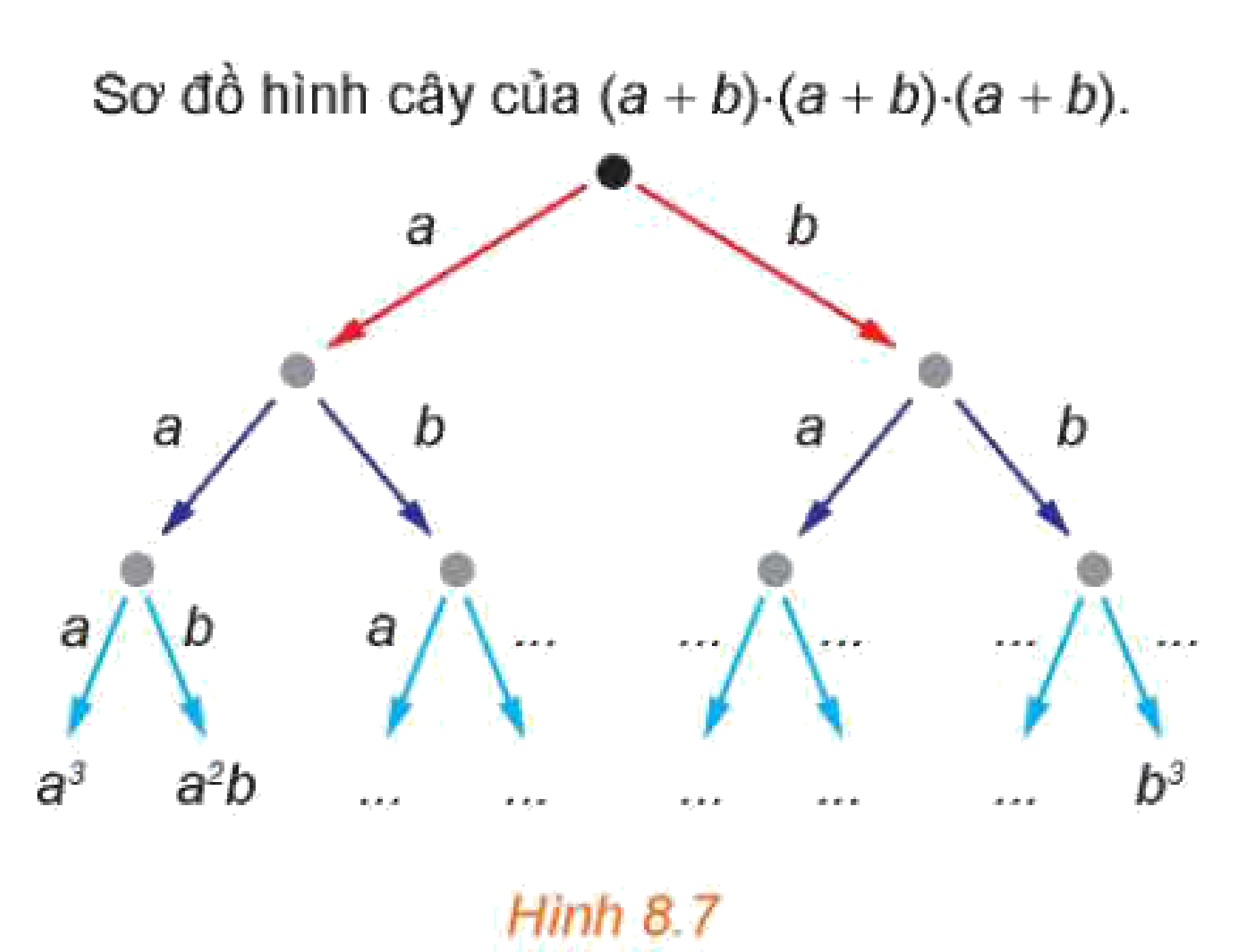 Hình 8.7: Sơ đồ hình cây của (a+b)^3
