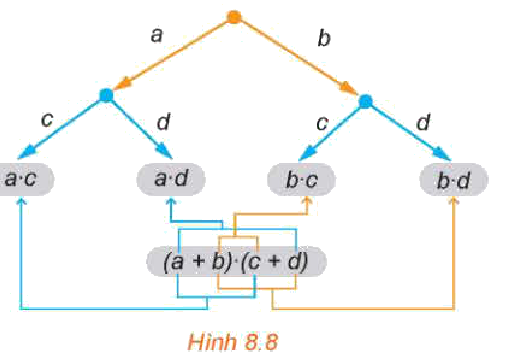 Hình 8.8: Sơ đồ hình cây minh họa phép nhân đa thức