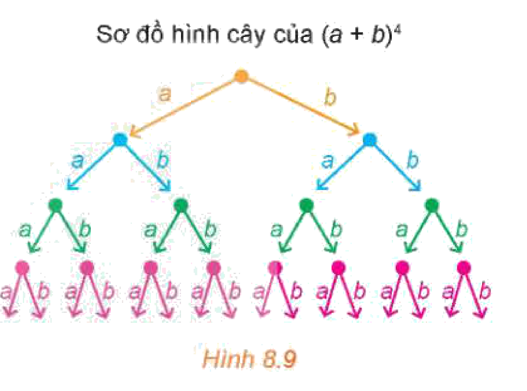 Hình 8.9: Sơ đồ hình cây của (a+b)^4