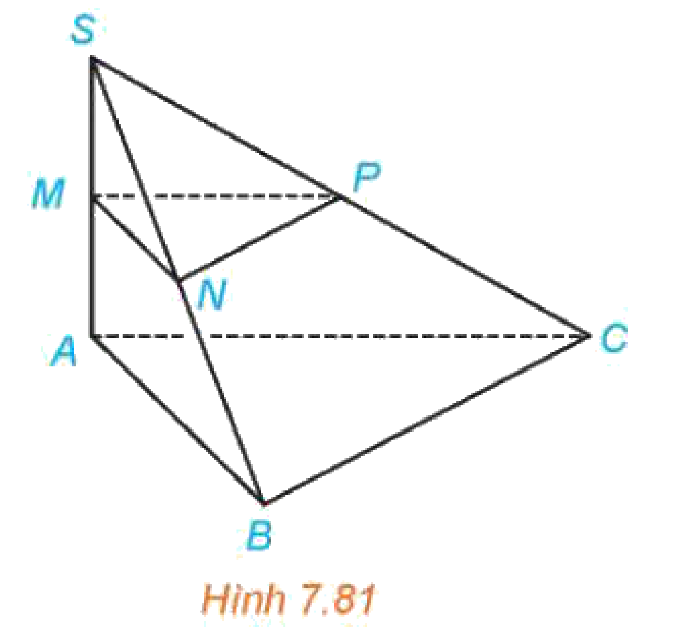Hình 7.81