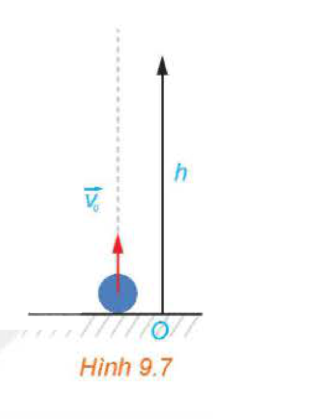 Hình 9.7: Vật phóng theo phương thẳng đứng